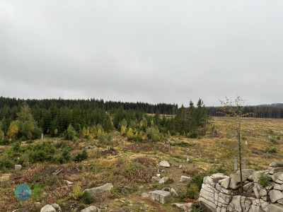 Harz-Tour HWN 14, 156