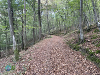 Ahrsteig - Day 2 - From Schuld to Bad Neuenahr