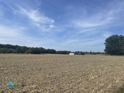 Dülken, Hardt, Waldniel