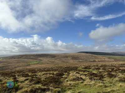 Dartmoor National Park