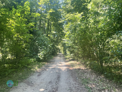 From Pesch to Dülken