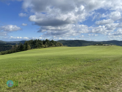 Ahrsteig - Day 2 - From Schuld to Bad Neuenahr