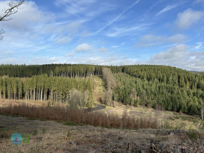 Hike to Brasserie Lupulus