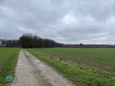 Dülken, Nettetal