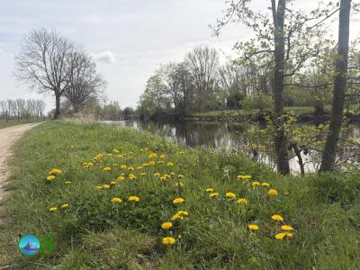 Hike from Hückelhoven to Düren (10-04-2026)