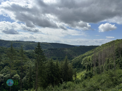 from Luxembourg to Tenneville - Day 2 - from Diekirch to Wiltz