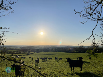 Culmstock Beacon – Black Down Hills, loop from Wellington