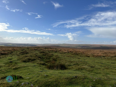 Dartmoor National Park