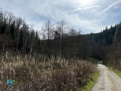 Vallée des Fées Achouffe – Prachtige natuur! loop from Houffalize