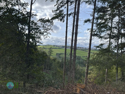 Ahrsteig - Day 2 - From Schuld to Bad Neuenahr