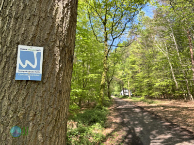 Hückelhoven - Wassenberg loop Hiking (26-04-2025)