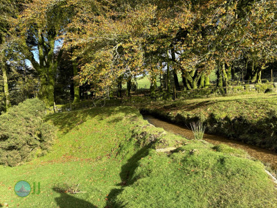 Dartmoor National Park