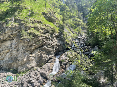 Hoher Fricken Mountain, ascend via west face, descend via east face