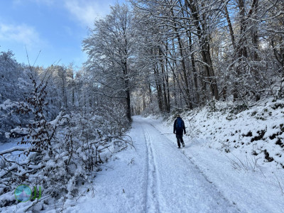 Nideggen - Heimbach loop Hiking (11-01-2025)
