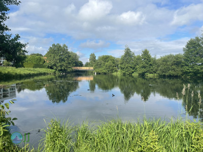 Natur in Süd-Viersen