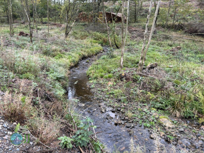 Harz-Tour HWN 135, 149, 134, 132, 133, 221