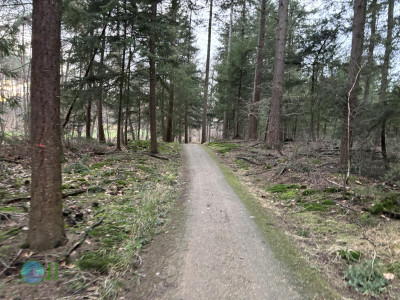From Dülken to Roermond