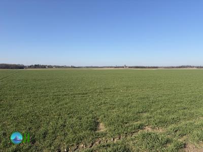 Hike from Hückelhoven to Mönchengladbach (05-03-2026)