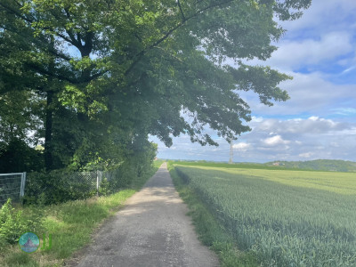 Natur in Süd-Viersen