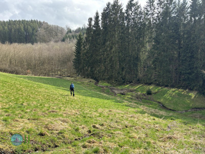Esch-Sauer – Burgruine mit Turm Runde von Esch-sur-Sûre
