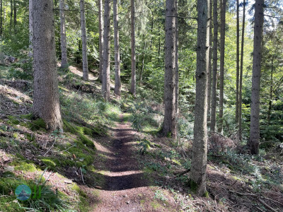 Ahrsteig - Day 1 - From Blankenheim to Schuld