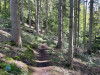 Ahrsteig - Day 1 - From Blankenheim to Schuld Photo