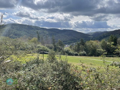 Ahrsteig - Day 2 - From Schuld to Bad Neuenahr