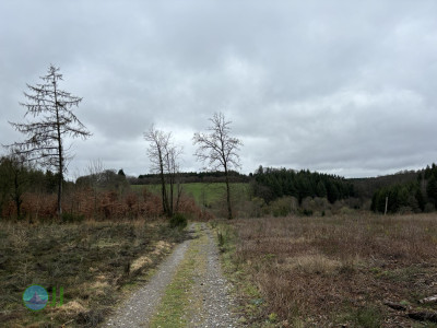 Hike to Chateau de Tavigny
