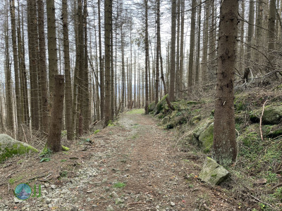 Leistenklippe (HWN 15) – Ottofels (HWN 27) Runde von Schierke