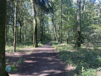 From Erkelenz to Dülken