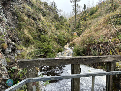 Harz-Tour HWN 135, 149, 134, 132, 133, 221