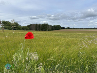 from Luxembourg to Tenneville - Day 1 - from Luxembourg to Diekirch