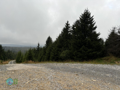 Harzer-Hexen-Stieg - Day 2 - From Torfhaus to Neuwerk