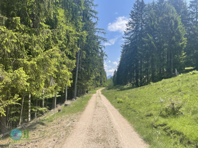 Alpengasthof-Tour