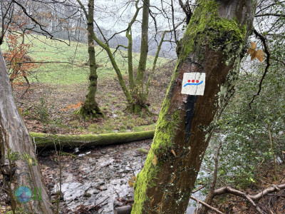 Deilbachsteig