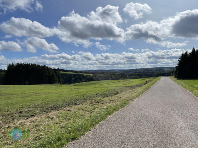 Ahrsteig - Day 1 - From Blankenheim to Schuld