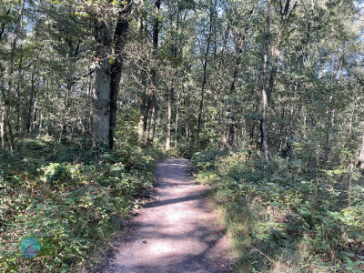 From Dülken to Reuver