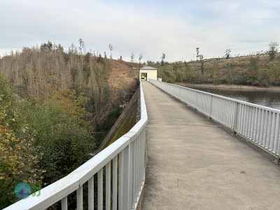 Harz-Tour HWN 39, 38, 37, 32, 31, 34, 35, 36