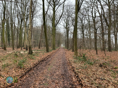 Wachterdonk, Stenden, Aldekerk, Eyll