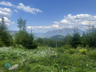 Alpengasthof-Tour