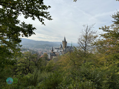 Harz-Tour HWN 39, 38, 37, 32, 31, 34, 35, 36