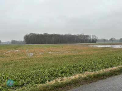 Wachterdonk, Stenden, Aldekerk, Eyll