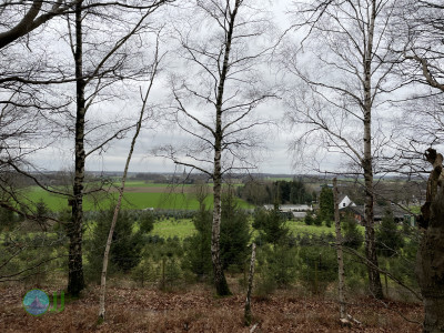 Dülken, Nettetal