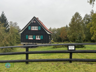 Harz-Tour HWN 135, 149, 134, 132, 133, 221