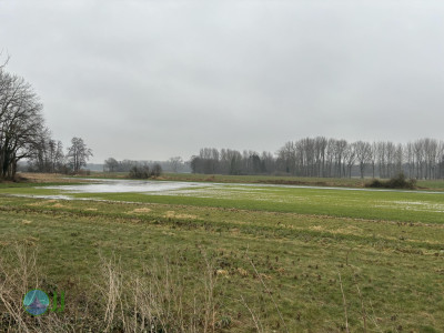 Wachterdonk, Stenden, Aldekerk, Eyll