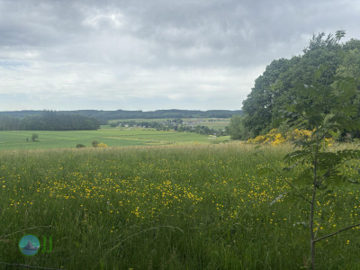 from Luxembourg to Tenneville - Day 3 - from Wiltz to Tenneville