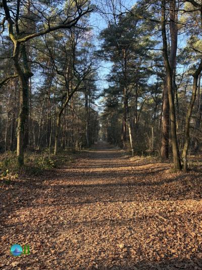 Hike from Hückelhoven to Roermond (26-12-2025)