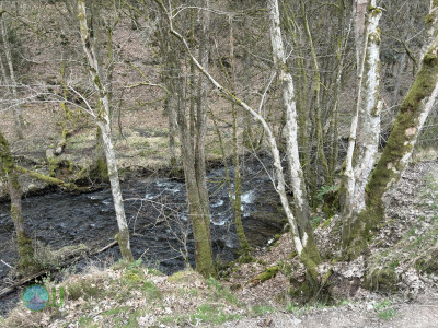 Vallée des Fées Achouffe – Prachtige natuur! loop from Houffalize