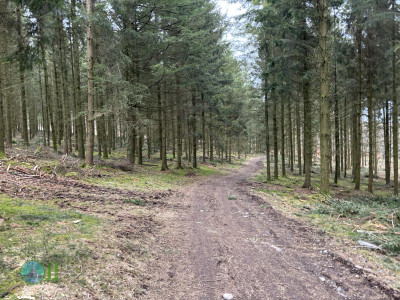 Vielsalm Hiking (22-02-2025)
