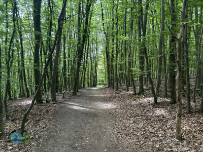 Rursee Runde